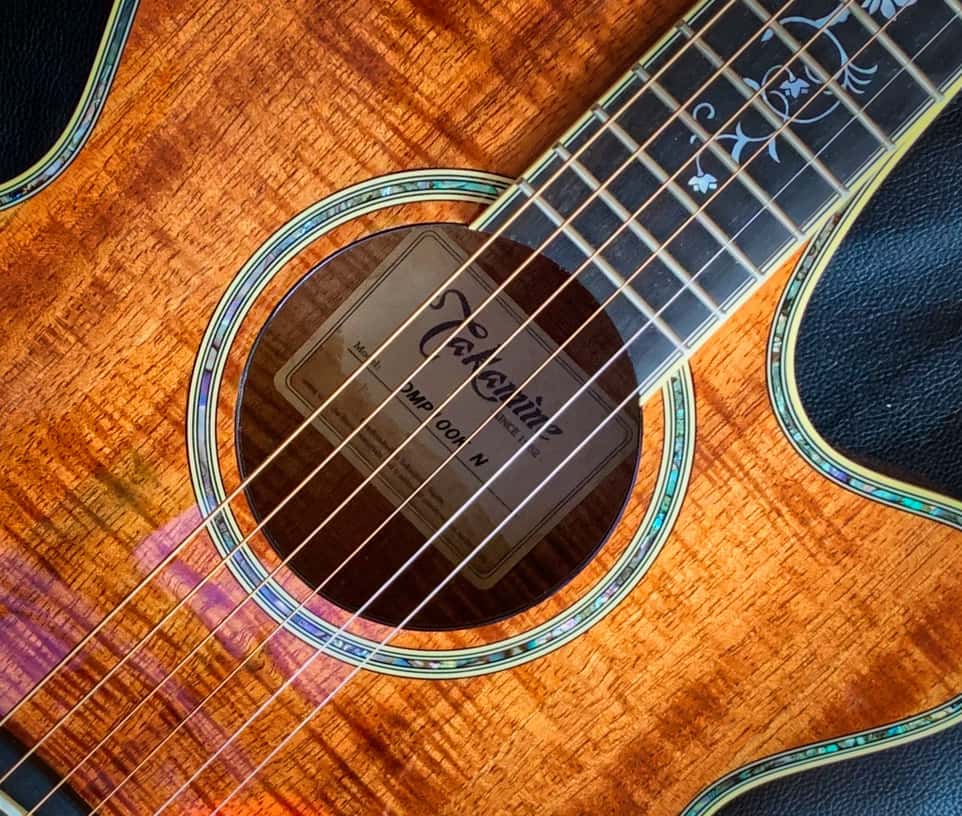 takamine dmp 100n